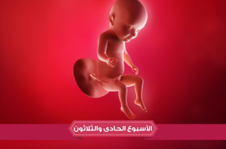 الأسبوع الحادي والثلاثين من الحمل