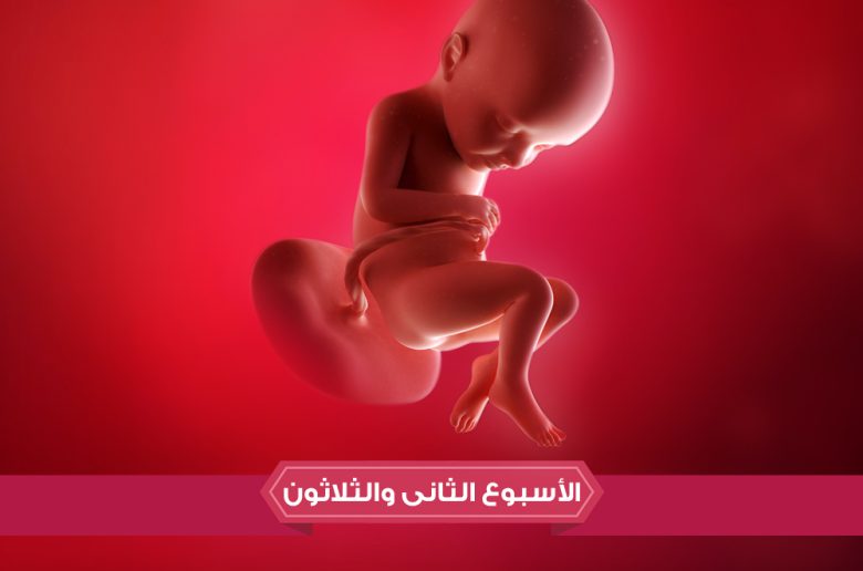 الأسبوع الثاني والثلاثين من الحمل