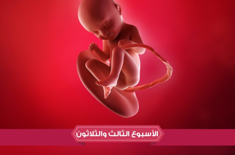 الأسبوع الثالث والثلاثين من الحمل الأسبوع الثالث والثلاثين من الحمل