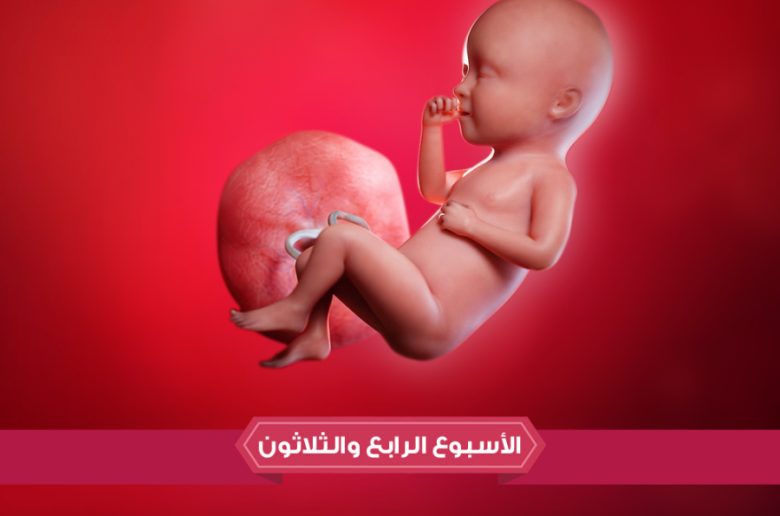  الأسبوع الرابع والثلاثين من الحمل