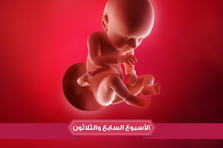 الأسبوع السابع والثلاثين من الحمل