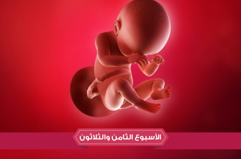 الأسبوع الثامن والثلاثين من الحمل الأسبوع الثامن والثلاثين من الحمل