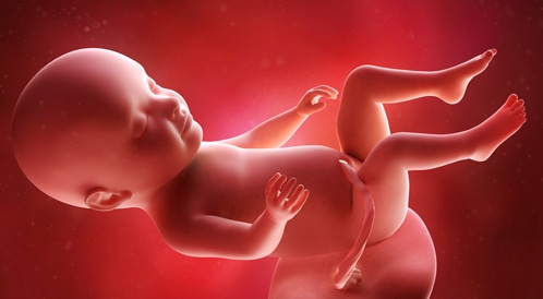 أبرز التطورات في نمو الجنين خلال الأسبوع الحادي والثلاثين
