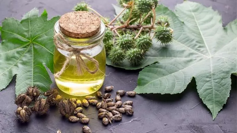 زيت الخروع زيت الخروع