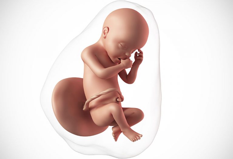 ملامح تطور الجنين في الأسبوع الثلاثين من الحمل