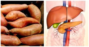 تشابه البطاطا الحلوة مع البنكرياس
