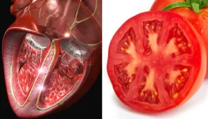  تشابه الطماطم مع حجرات القلب