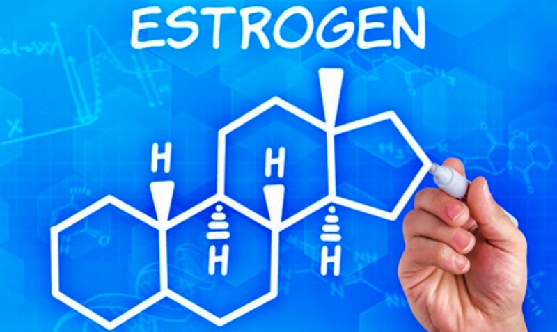 هرمون الأستروجين بالجسم