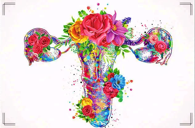 الهرمونات الأنثوية