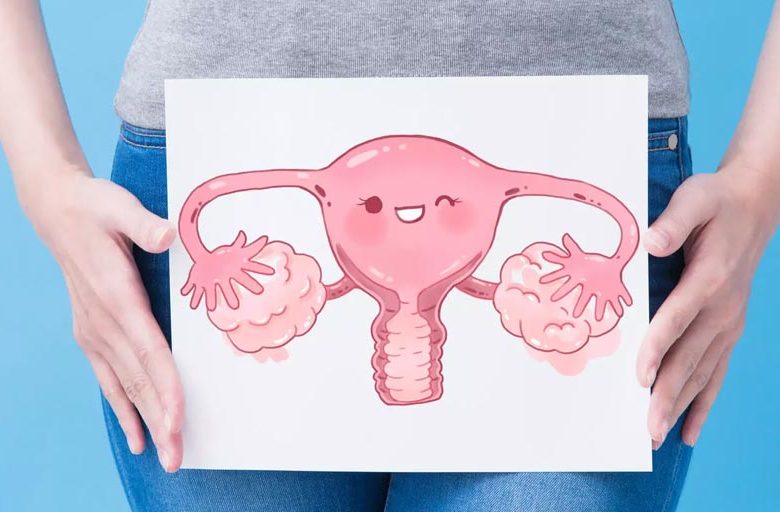 أبرز المعلومات عن المبايض