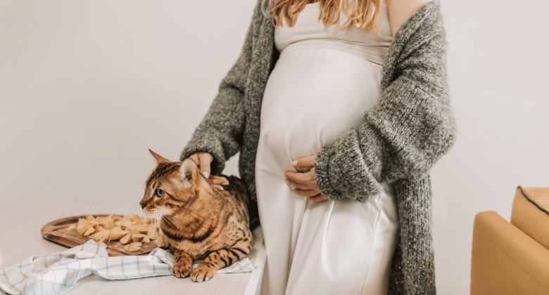 اكتشفي حقيقة مخاطر تربية القطط على صحة حملك