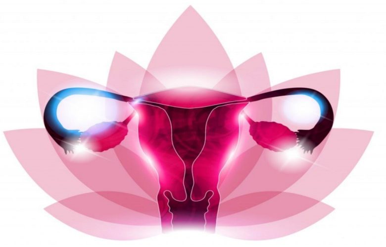 المنطقة الحميمة ورائحتها الجذابة مع بعض الأطعمة