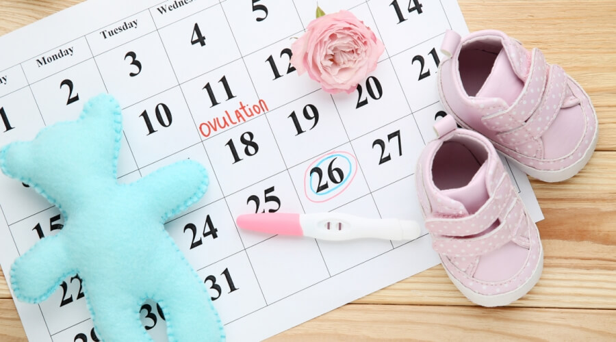 حاسبة فترة الإباضة والخصوبة