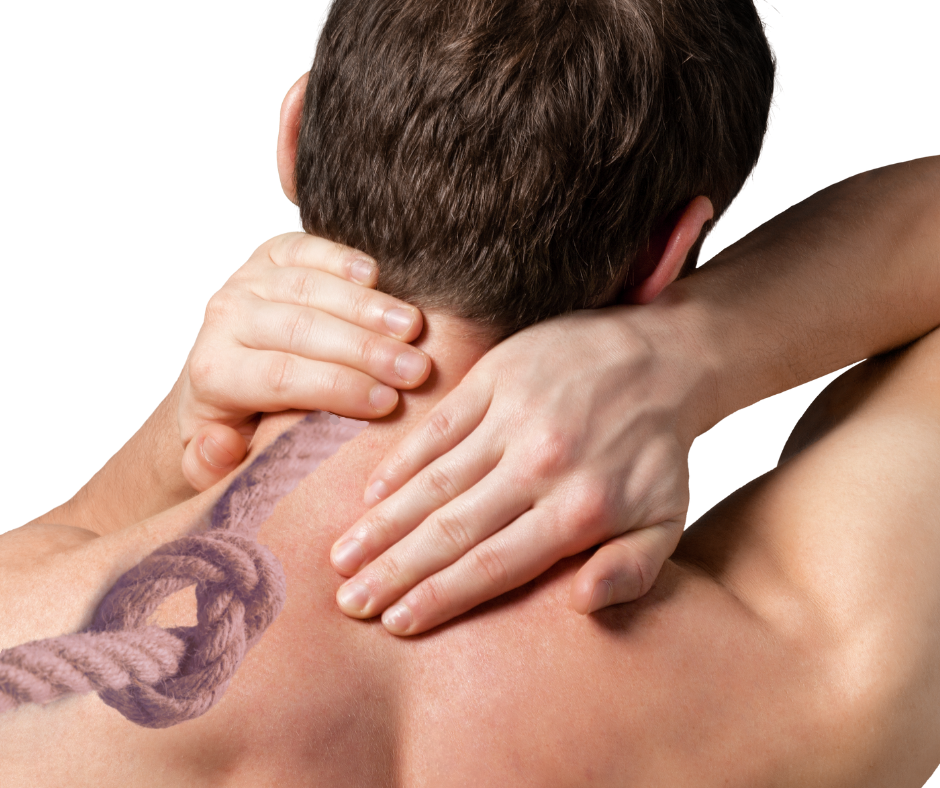 عقدة العضلات