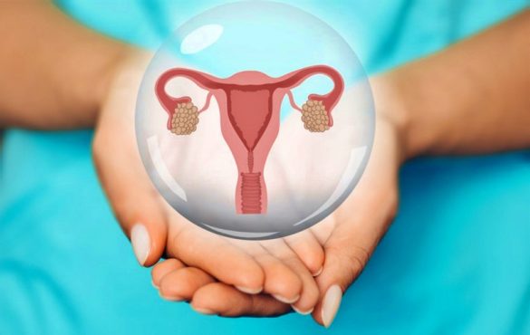 هبوط الرحم بعد الولادة وطرق العلاج الفعالة له هبوط الرحم بعد الولادة وطرق العلاج الفعالة له