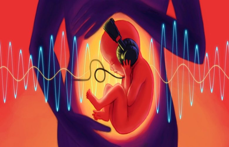 الضوضاء والأصوات المرتفعة وتأثيرهم عالجنين داخل رحم الأم الضوضاء والأصوات المرتفعة وتأثيرهم عالجنين داخل رحم الأم