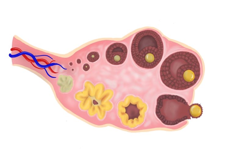 البيضة التالفة