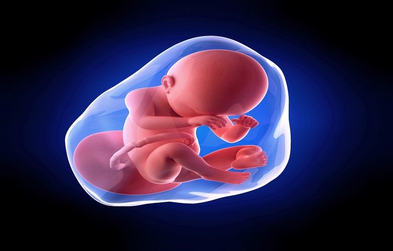 تجمع السوائل تحت المشيمة تجمع السوائل تحت المشيمة