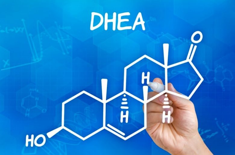 هرمون الـ "DHEA" ما هو؟ وما علاقته بحدوث الحمل؟