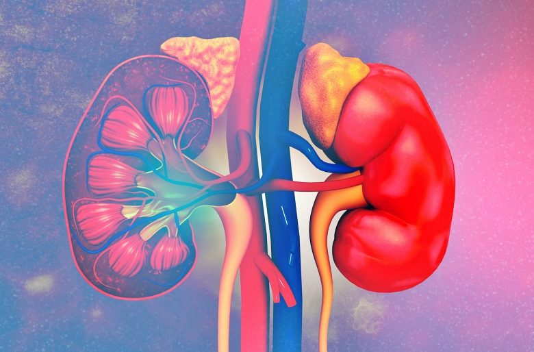 ورم الغدة الكظرية الحميد وأهم المعلومات عنه ورم الغدة الكظرية الحميد وأهم المعلومات عنه