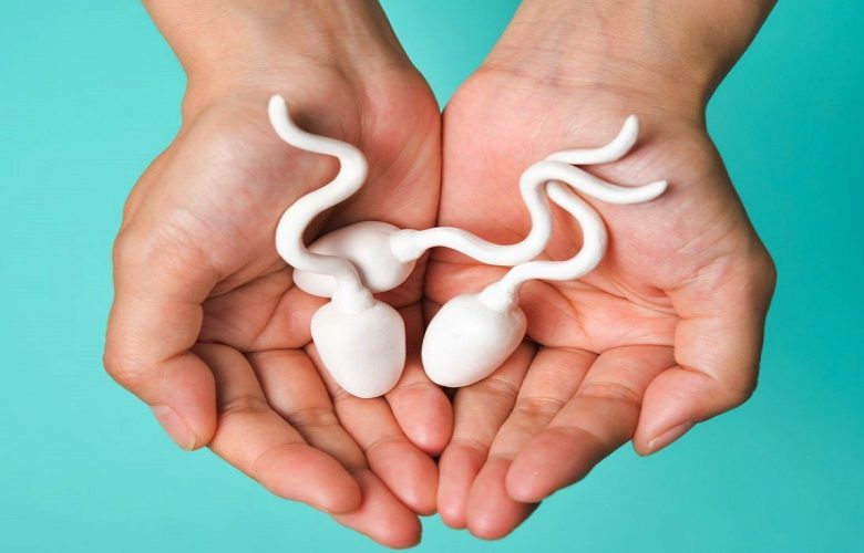 الحيوانات المنوية الصحية لعملية إنجابية سليمة