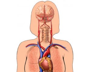 أسباب حدوث الإغماء