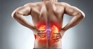 أين توجد الكليتين تحديدا في الجسم ؟