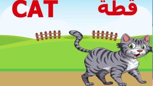 استخدمي كلمات إنجليزية بسيطة