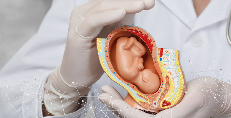 تقييد نمو الجنين (FGR) أثناء الحمل