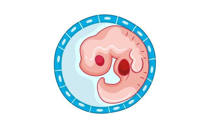 كيس الصفار أثناء الحمل