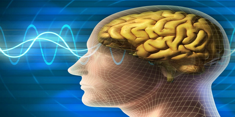 تخطيط كهربية الدماغ (EEG)