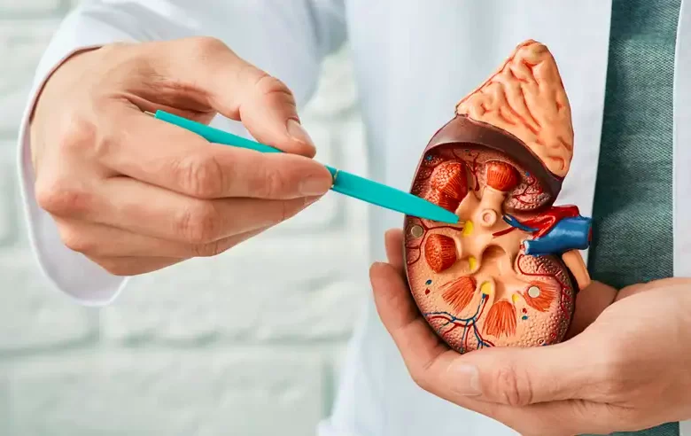 إستسقاء الكلى وأهم المضاعفات الصحية المترتبة على ذلك