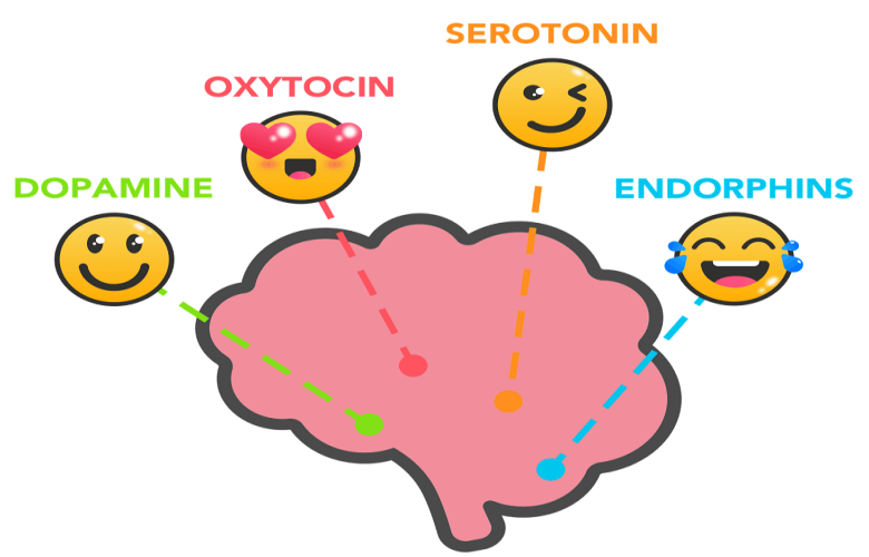 هرمونات السعادة وكيف يتم العمل على زيادتها داخل الجسم؟