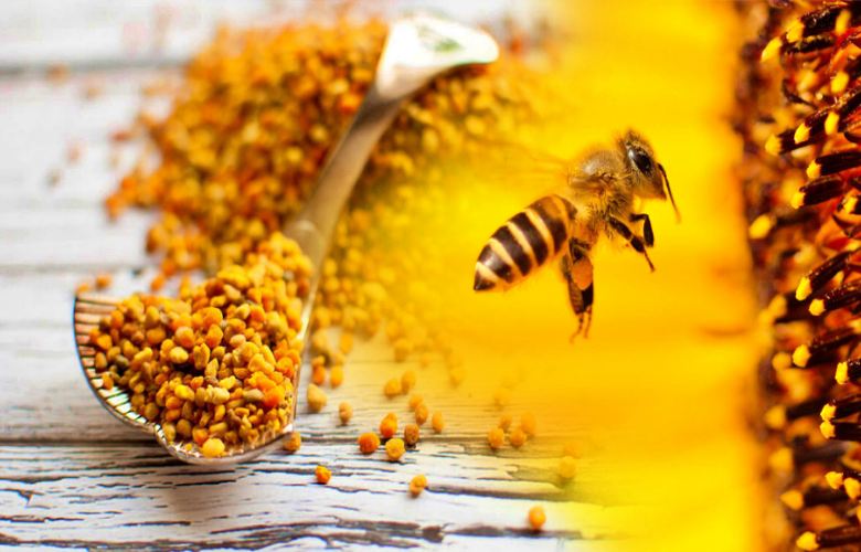 المكمل الغذائي الرائع (حبوب لقاح النحل).. المنافع وأهم إحتياطات الإستخدام