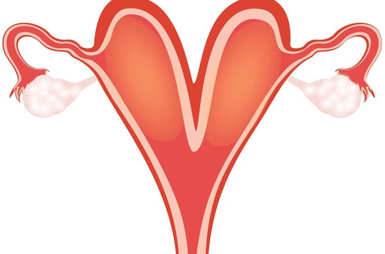 الرحم ذو القرنين الرحم ذو القرنين