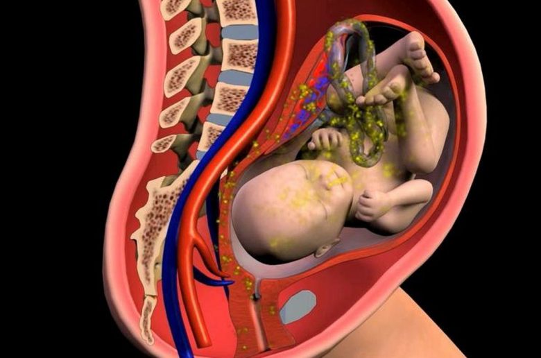 العدوى السلوية