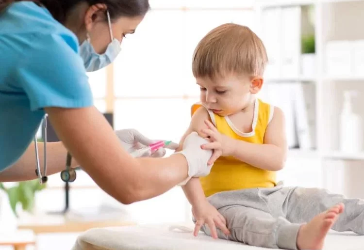 النظام الغذائي بعد التطعيم