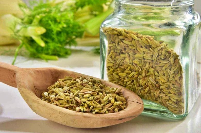 الشمر وأهم فوائده الصحية المذهلة الشمر وأهم فوائده الصحية المذهلة