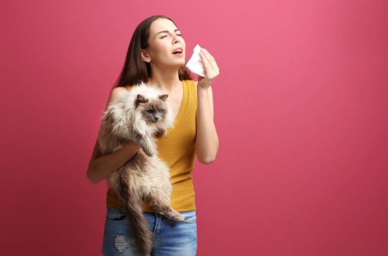 حساسية شعر القطط وكيف يتم التعامل معها؟
