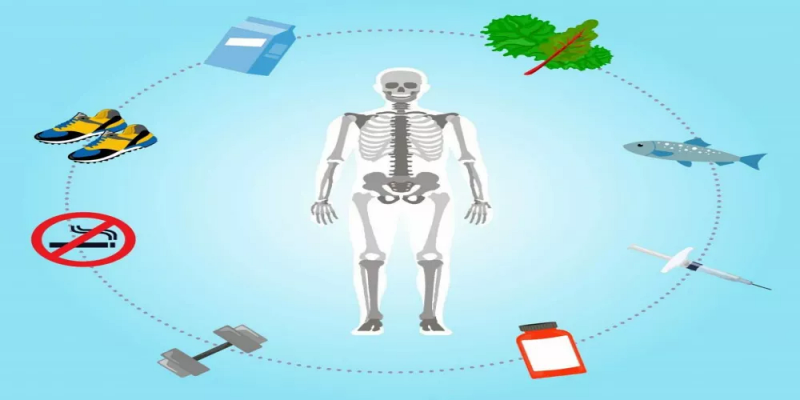 تدعيم بنية العظام الصحية