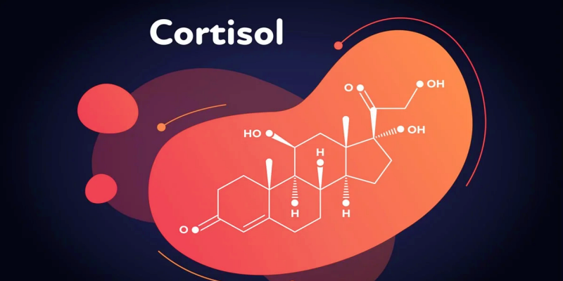 ما هو هرمون الكورتيزول؟