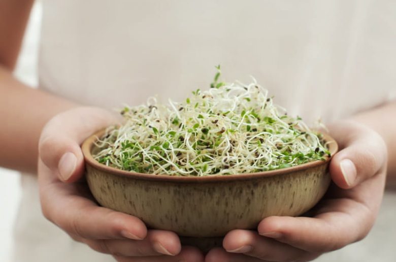 فوائد الحبوب المنبتة