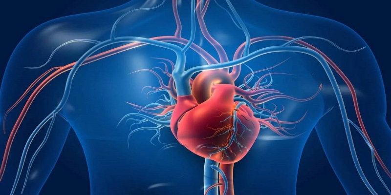 السيطرة على أمراض القلب والأوعية الدموية