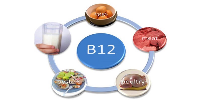 المصادر الغذائية لفيتامين B12