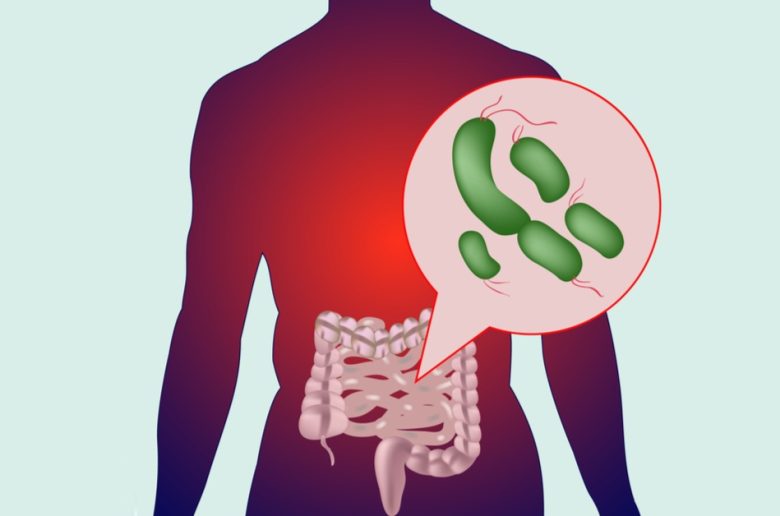 أبرز العادات الخاطئة التي تسبب الإضرار ببكتيريا الأمعاء النافعة