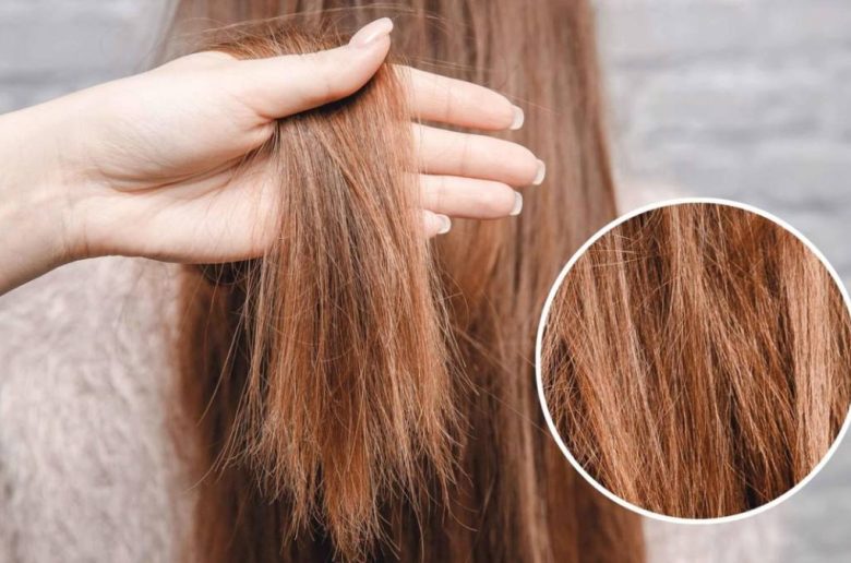 طرق منزلية لاستعادة الشعر التالف