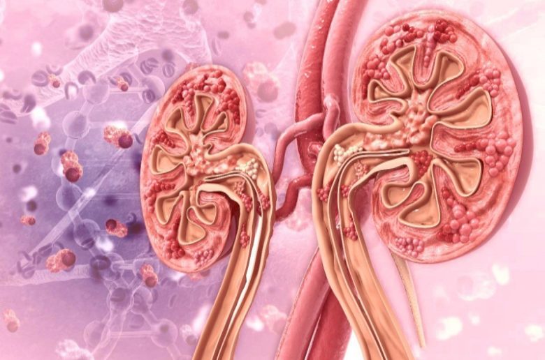 ما هي أكثر الفئات المعرضة لخطر الإصابة بمرض الكلى المزمن؟ ما هي أكثر الفئات المعرضة لخطر الإصابة بمرض الكلى المزمن؟