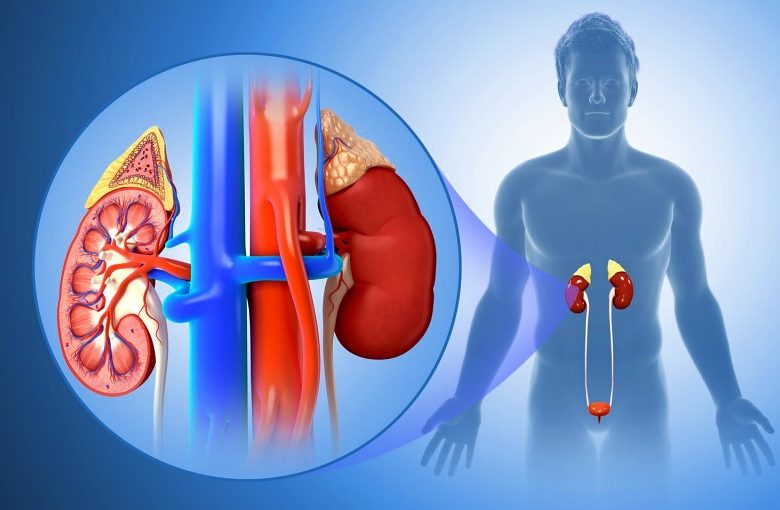 7 مضاعفات خطيرة تنتج عند الإصابة بالفشل الكلوي المزمن