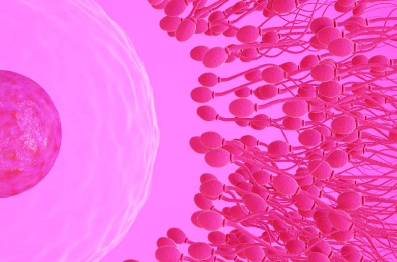 لتدعيم الصحة الإنجابية.. 7 أنماط طبيعية تعمل على زيادة عدد الحيوانات المنوية