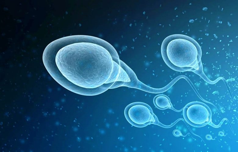 حركة الحيوانات المنوية ومدى تأثيرها على القدرة الإنجابية